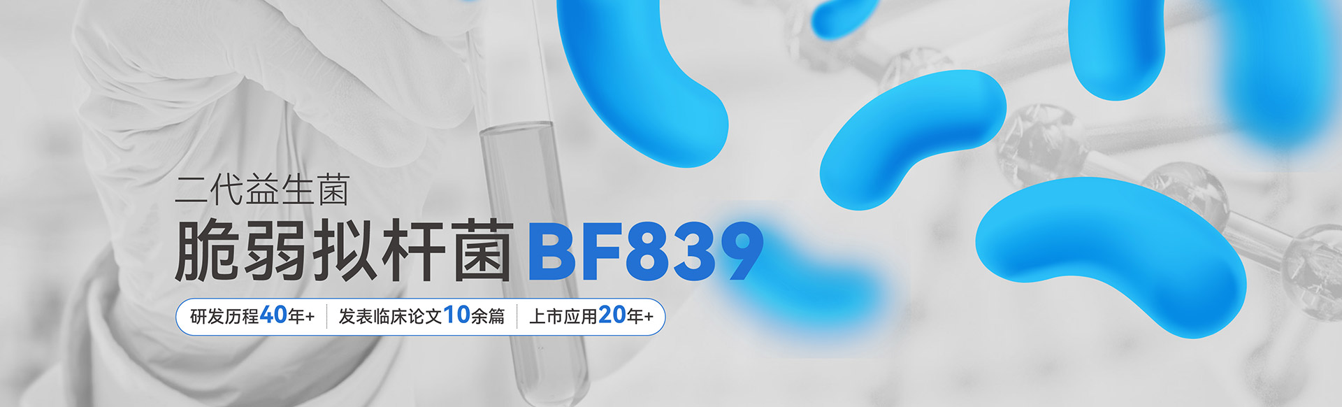 二代益生菌脆弱拟杆菌BF839