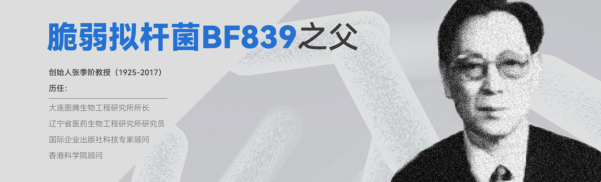 脆弱拟杆菌BF839之父